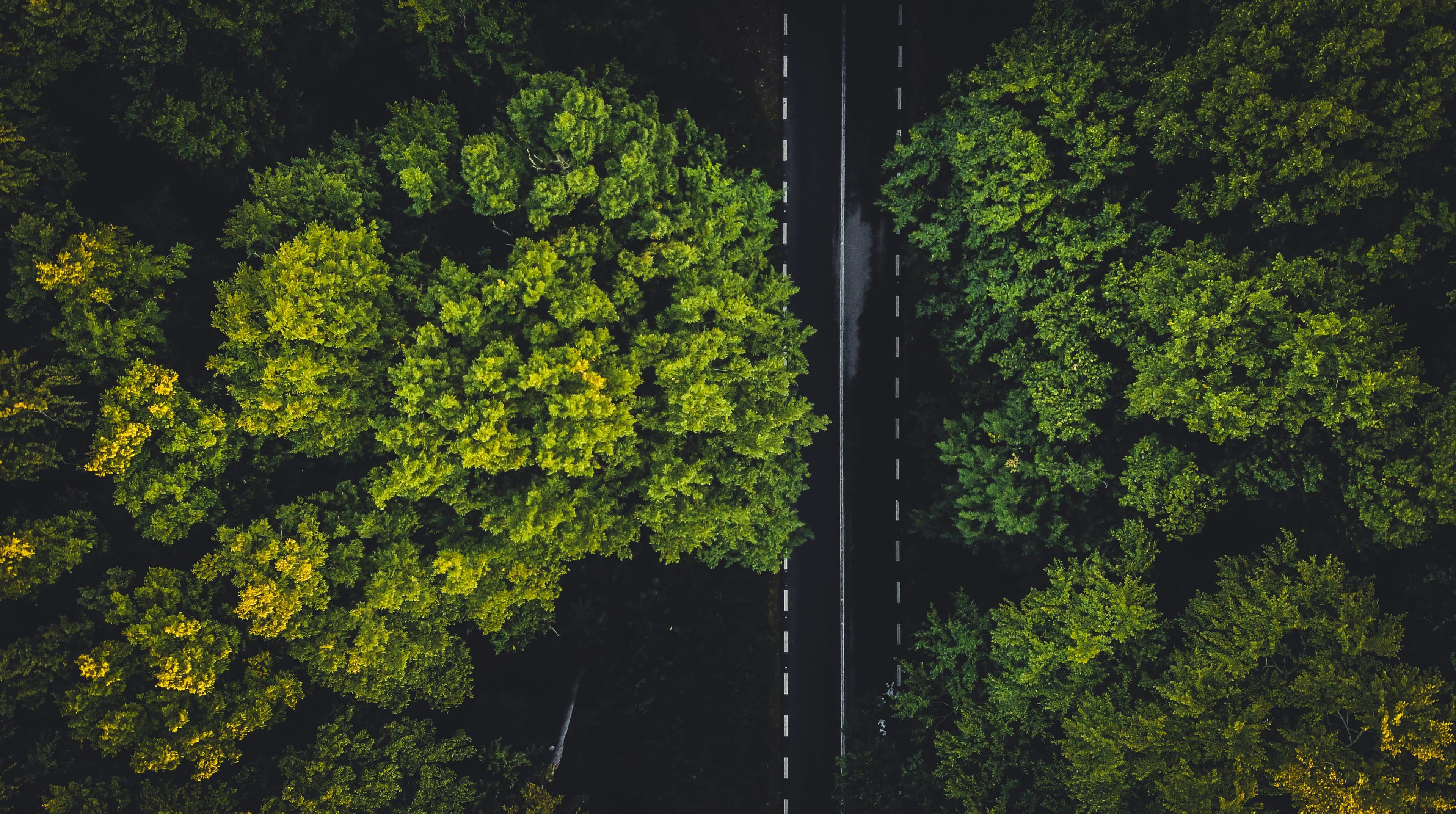 What Is NEPA? The National Environmental Policy Act Explained